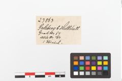 Etiketten zu Spinnwirtel (NHMW-PRAE-023863)